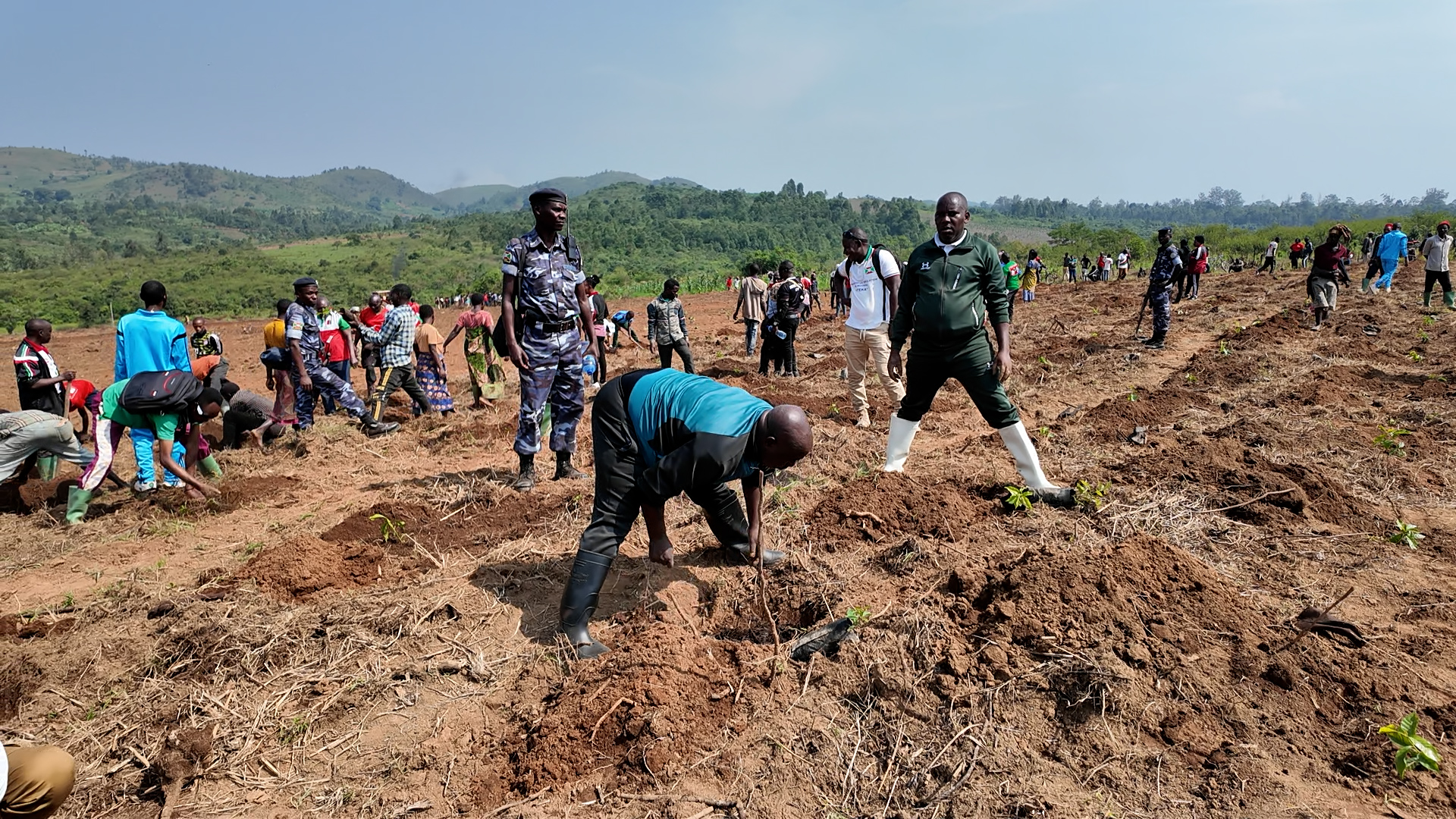 Le parti CNDD-FDD s’engage à promouvoir les plantes d’exportation.